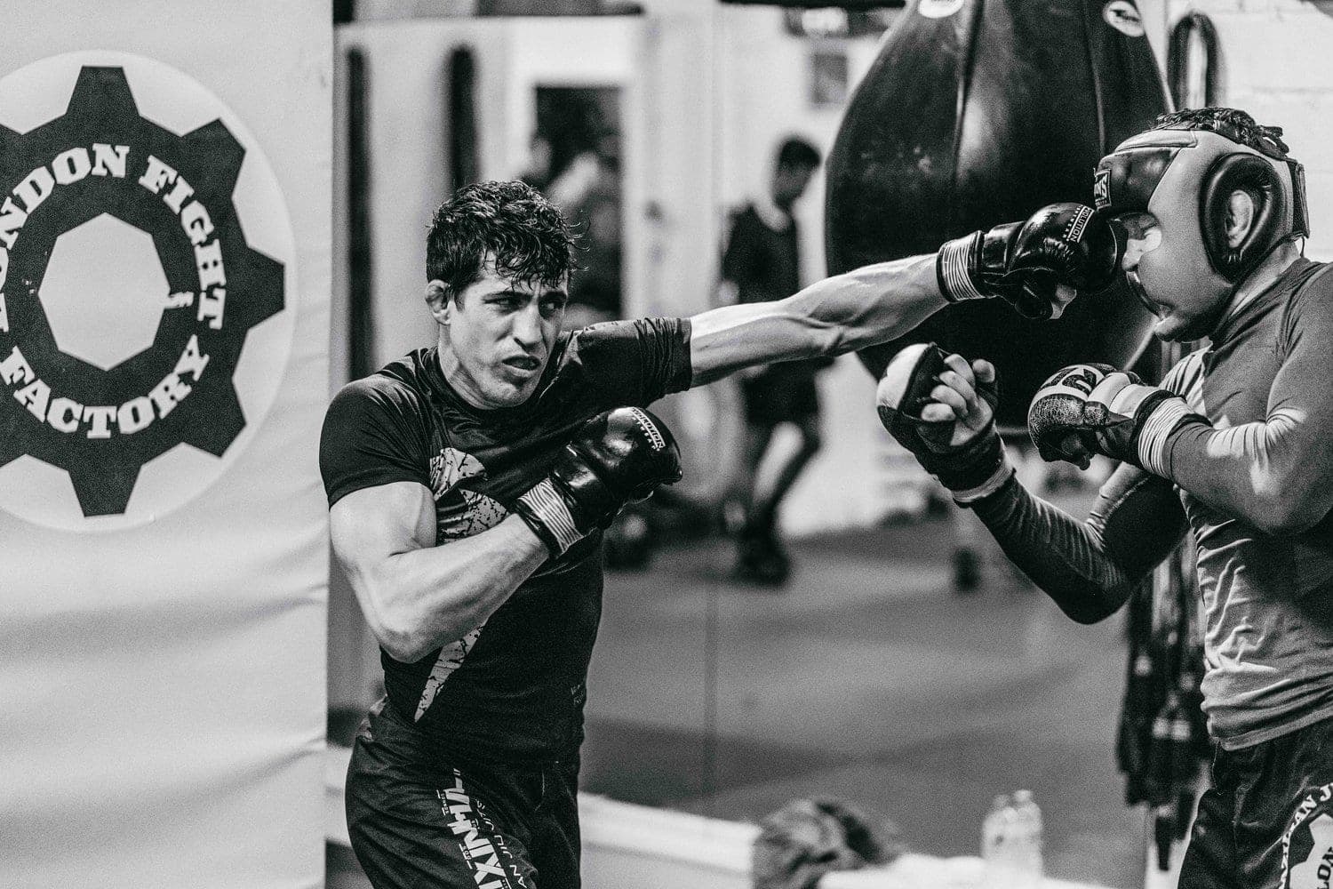 A jab landing clean during sparring